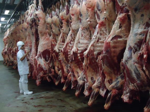 Frigoríficos exportam cada vez mais carne para Russia, Egito Hong Kong e outras 