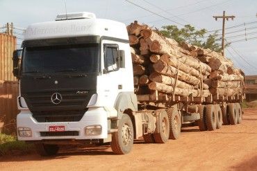 Caminhão transportando toras de teca para exportação 