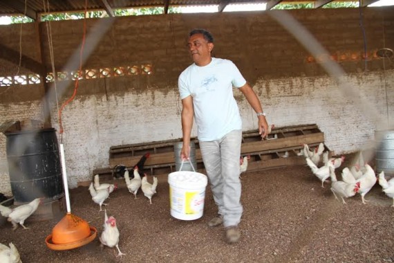 Aimorés Barros diz que galinhas produzem 60 ovos diariamente, que são usados na coznha da escola da Ape