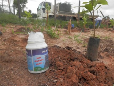 Hidrogel evita a lixiviação de nutrientes do solo