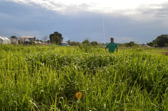 O trainee, Leandro Lopes da Silva, demonstra área de pastagem em solo de baixa fertilidade - Ji-Parana - 4ª Rondônia Rural Show - Foto Dhiony Costa e Silva