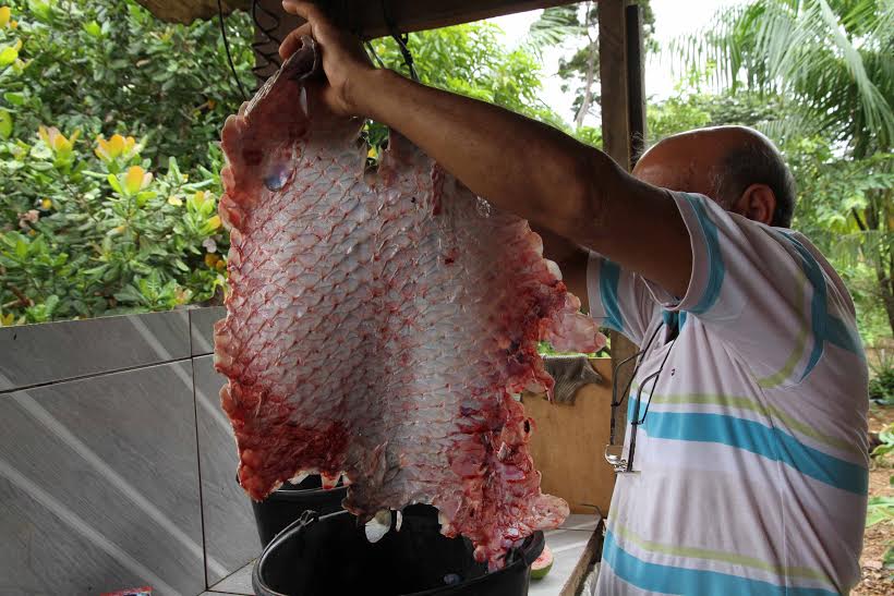 Produção de peixes é abundante em Rondônia, mas emperra na comercialização  - Engepesca - Redes para Aquicultura