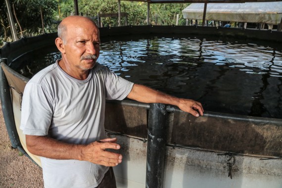 Domingos Mendes, pioneiro criador de pirarucu em tanque de lona