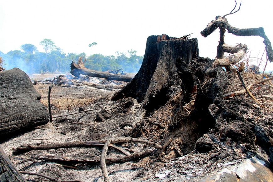 queimadas distrito Triunfo fiscalizacao Sedam 19-8-15 FOTO ROSINALDO MACHADO (13)