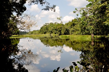 Matas, rio e animais protegidos garantem a sustentabilidade da vida em Rondônia