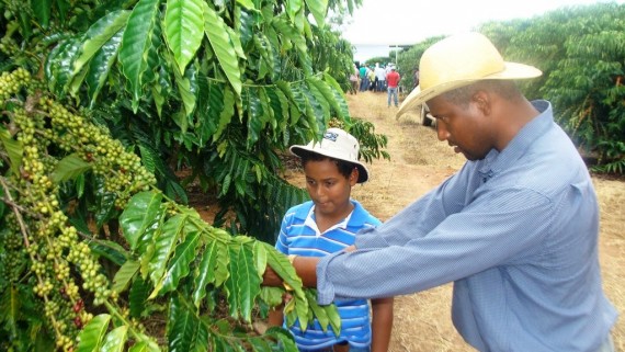 Governador Confúcio incentiva produtores a investirem na cafeicultura