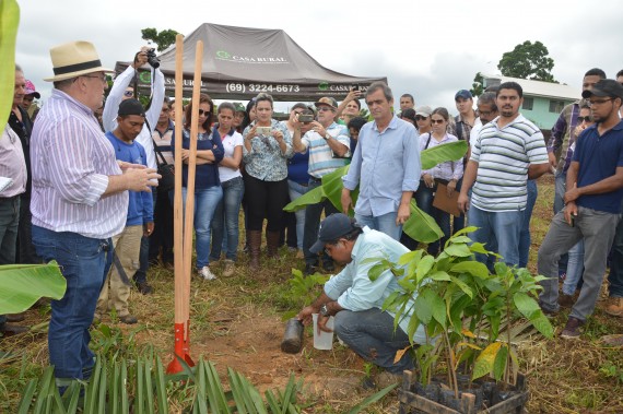 Projeto promete produtividades acima de três mil quilos de amêndoas secas por hectare