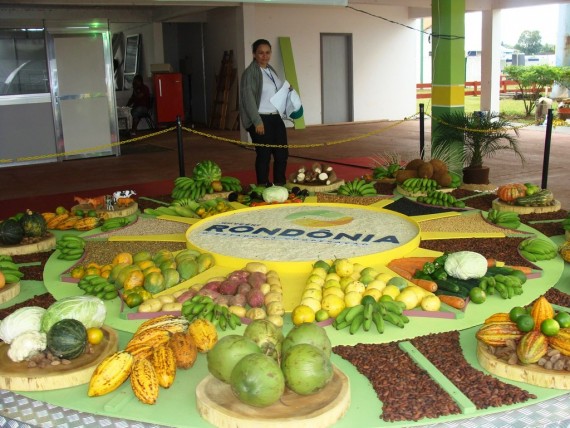 Frutos de Rondônia expostos na Rondônia Rural Show em 2016