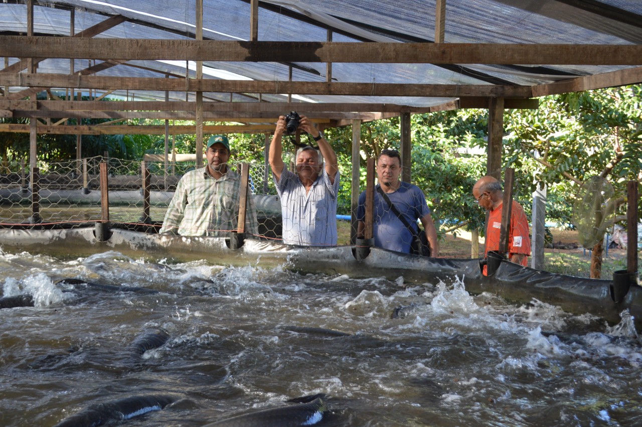 Produção de peixes é abundante em Rondônia, mas emperra na comercialização  - Engepesca - Redes para Aquicultura