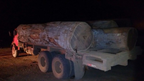 Caminhão com madeira apreendido durante a operação