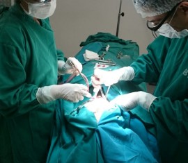 Pacientes internados são atendidos pela equipe odontológica
