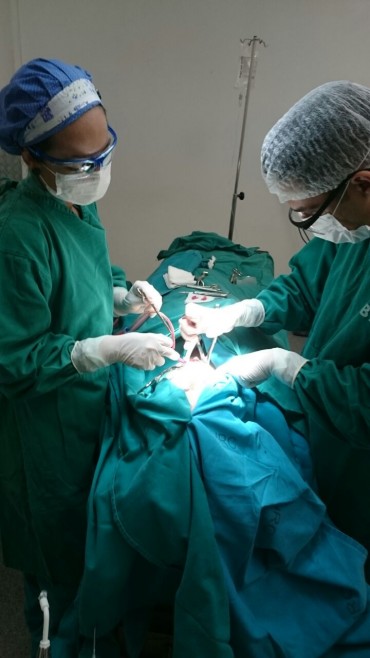 Pacientes internados são atendidos pela equipe odontológica