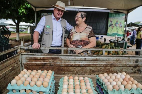 Produtora que fornece ovos ao Programa de Aquisição de Alimentos