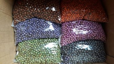 Sementes de açai são as que possuem maior variação de cores
