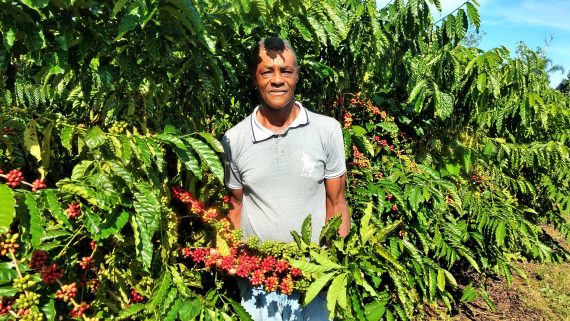 Produtor de Vilhena,  Abílio Hodêncio, está retomando a produção de café, e ficou admirado com a lavoura altamente produtiva