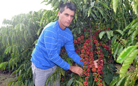 O concurso abre caminhos para a excelência da cafeicultura no estado