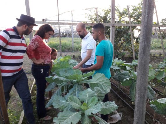 Acompanhados da secretária Mary Braganho, técnicos do MDSA visitaram produção de hortaliças Coopverde, em Porto Velho