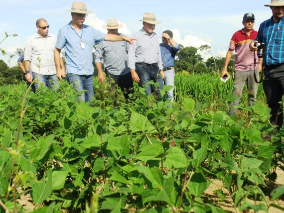 Em visita do governador, foi informado que a proposta é transformar o parque tecnológico do agronegócio de Ji-Paraná em um laboratório permanente