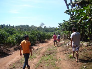 Entre os alimentos cultivados pelos indígenas, estão cinco variedades de bananas, café, mandioca e limão