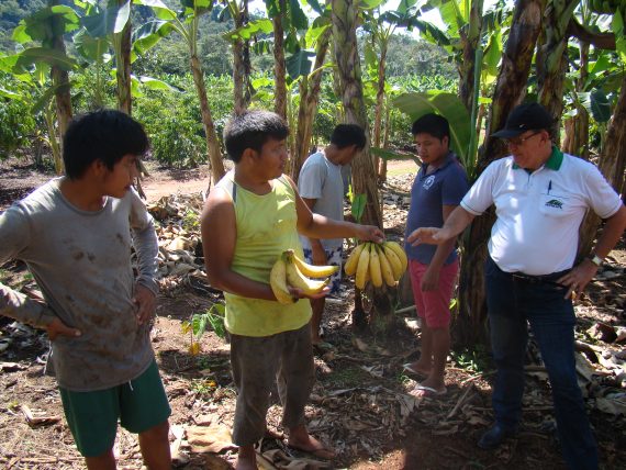 Cacoal é o único município de Rondônia onde os indígenas também fornecem alimentos ao PAA