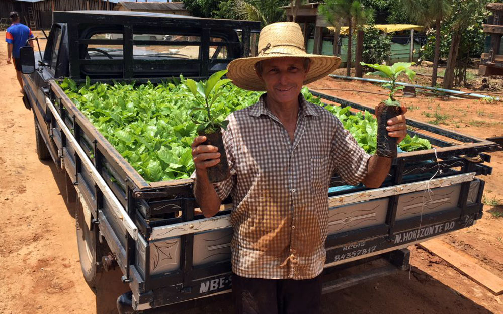 Secretaria de Agricultura realiza entrega de mudas clonais de café