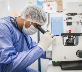 Análise de culturas celulares no microscópio invertido.