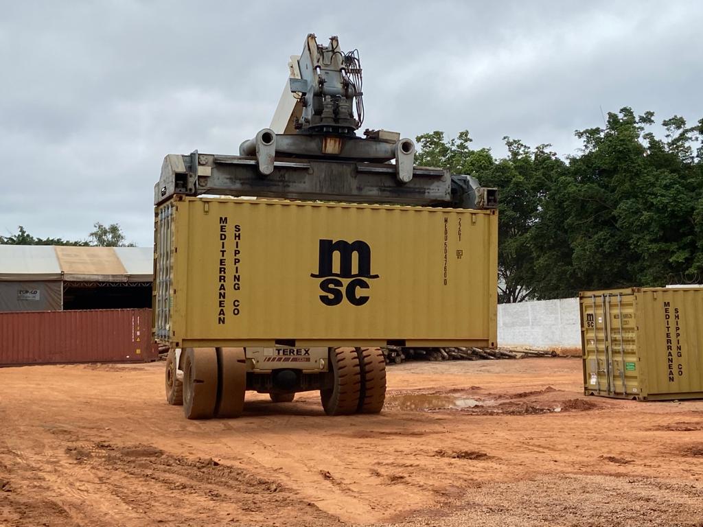 Robusta Amazônico é caso de sucesso na cafeicultura nacional - Portal  Embrapa