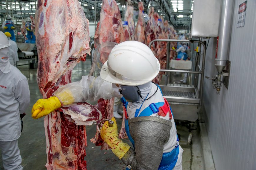 Rondônia alcançou mais um marco em sua indústria de carne bovina, com a recente autorização para exportar seus produtos para o Canadá. 