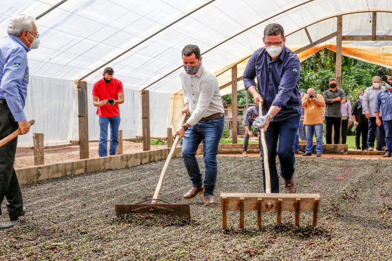 G1 - Máquina reduz custo da colheita do café conilon e robusta em Rondônia  - notícias em 4 Rondonia Rural Show 2015