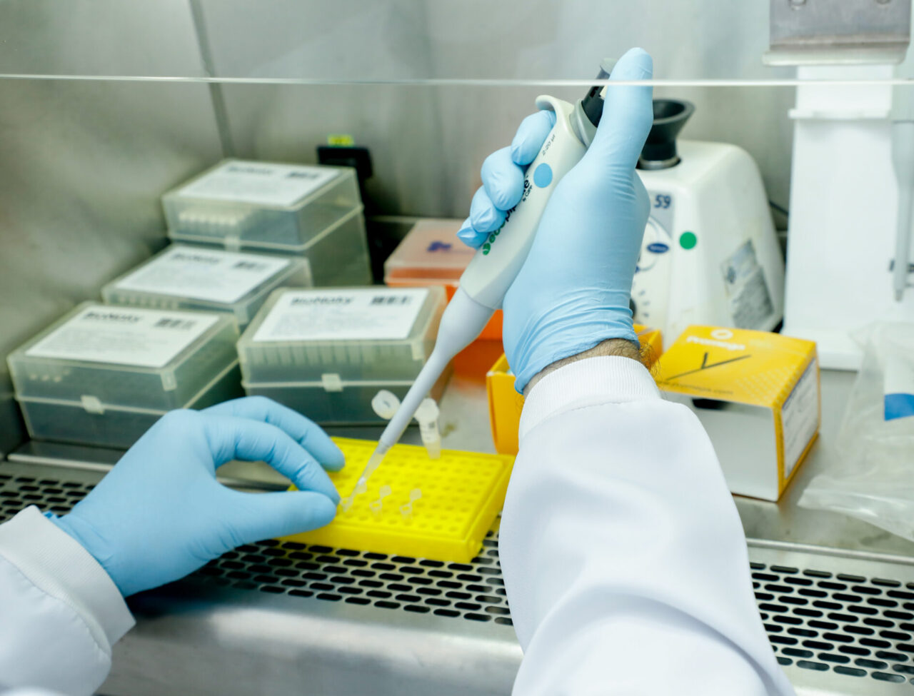 Busca e identificação de pessoas desaparecidas são ampliadas com lançamento da Rede PCI Conecta em Rondônia