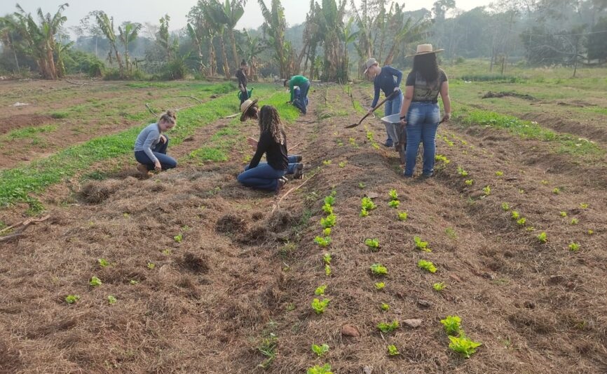 Fortalecimento de Escolas Famílias Agrícolas