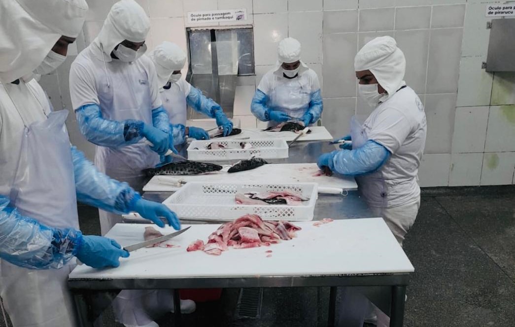 Mais de 3 mil vagas de emprego são disponibilizadas em Rondônia; 54 para Auxiliar de Produção em Rolim de Moura