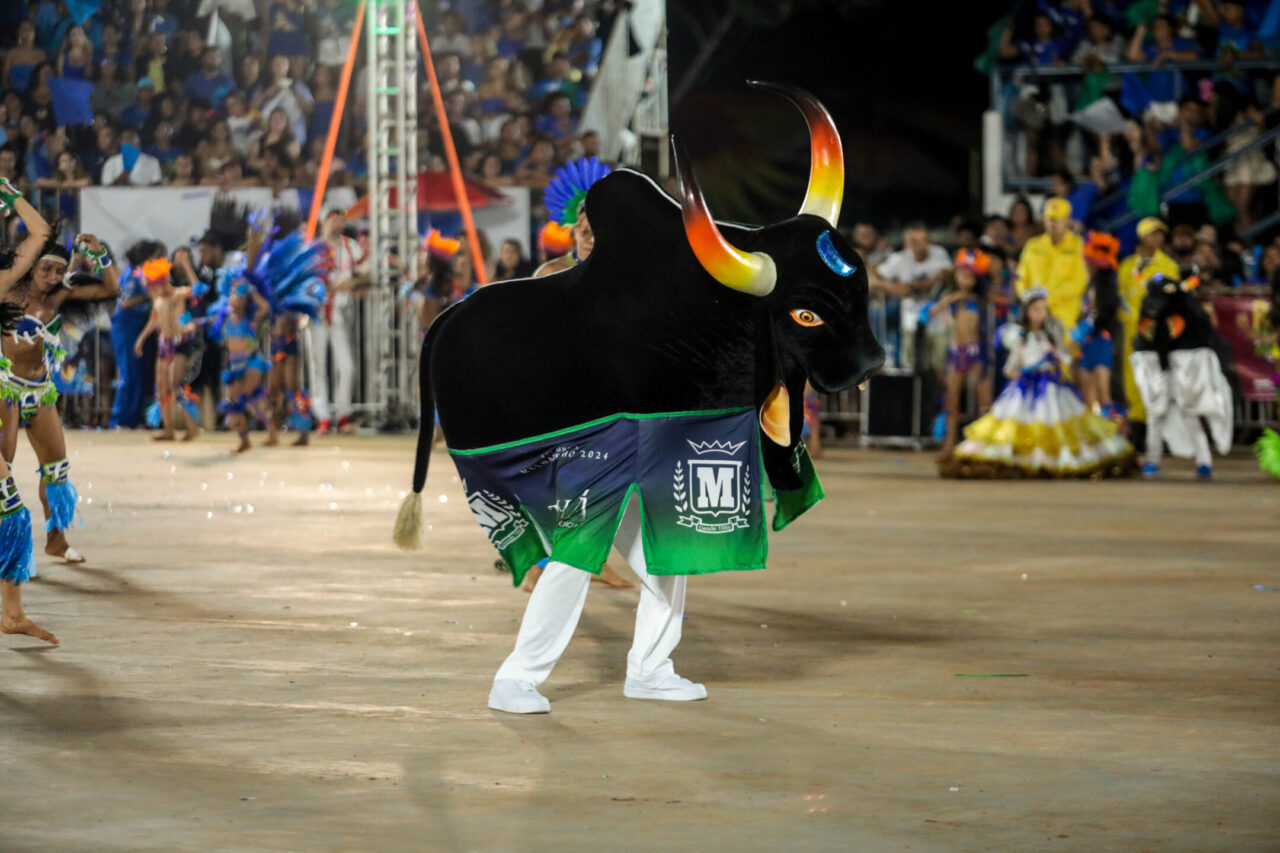 Agremiação segue promovendo inclusão por meio da cultura popular