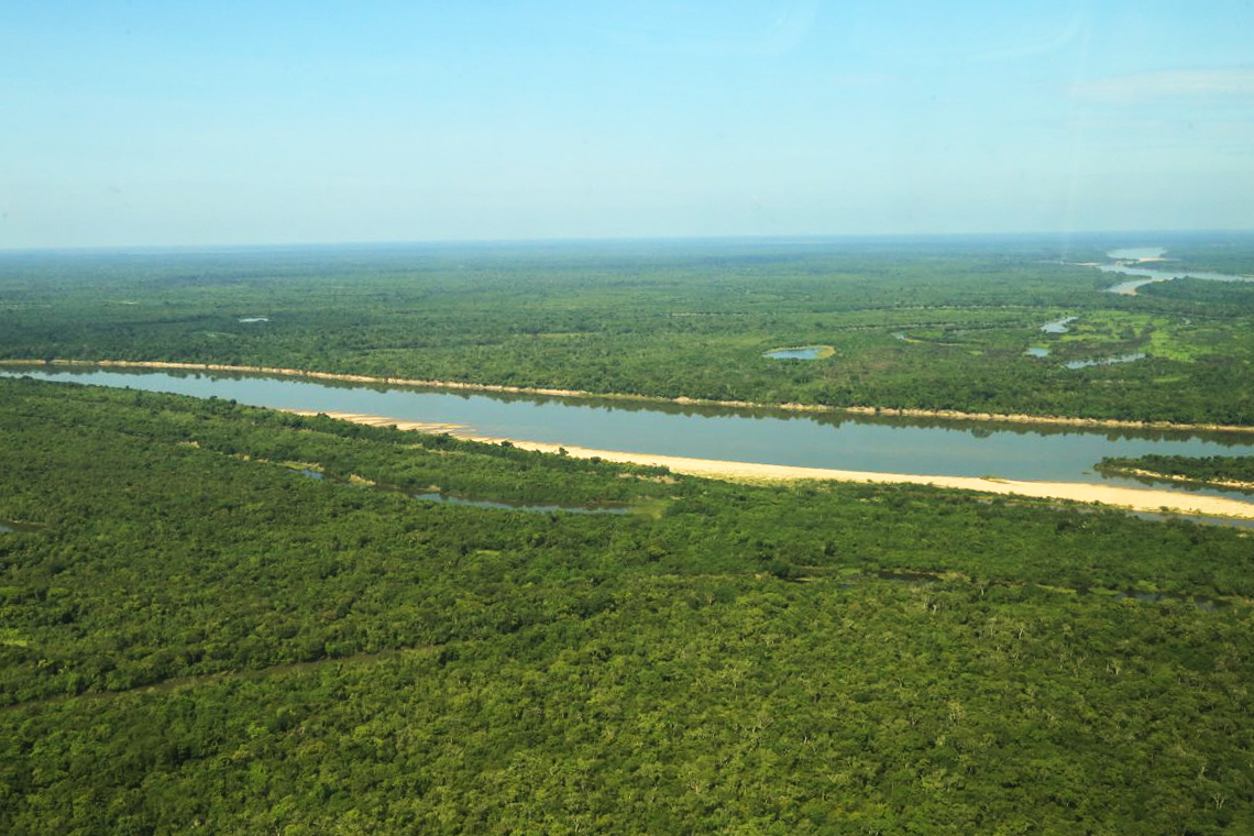 Governo de RO participa do lançamento do Guia de Melhores Práticas para Projetos de Carbono na Amazônia