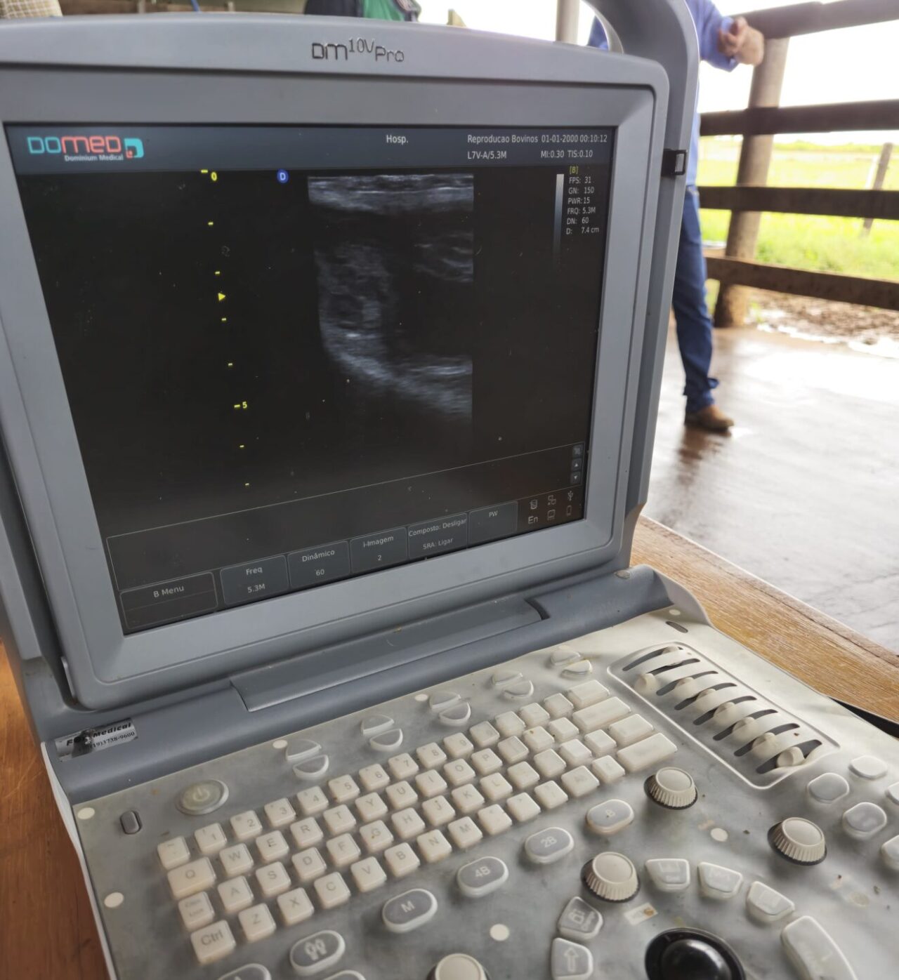 Oito propriedades já foram atendidas nesta nova rodada de diagnóstico gestacional, com 96 animais examinados