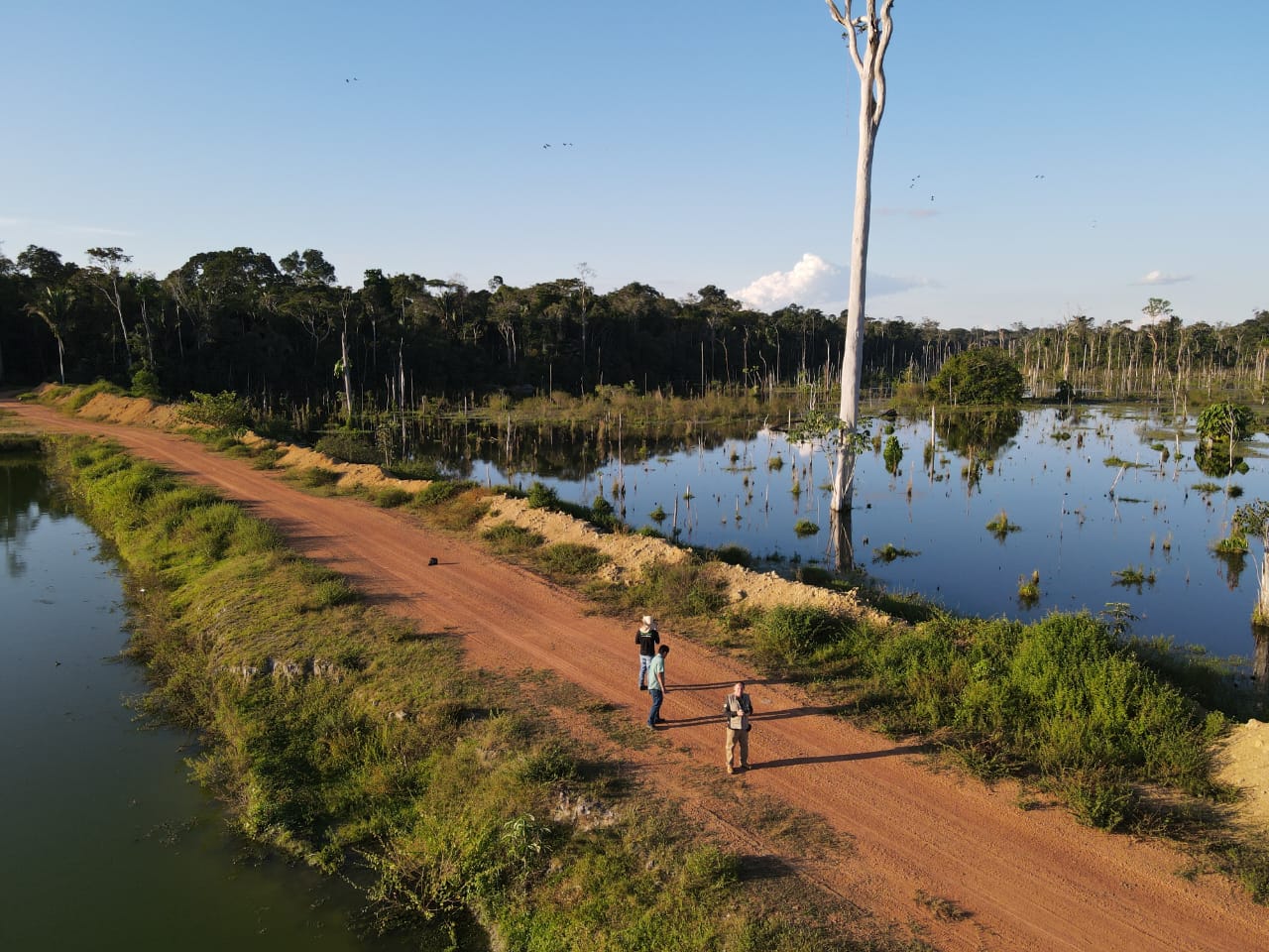 Seminário de Regularidade Ambiental promove capacitação para produtores e técnicos em Ariquemes
