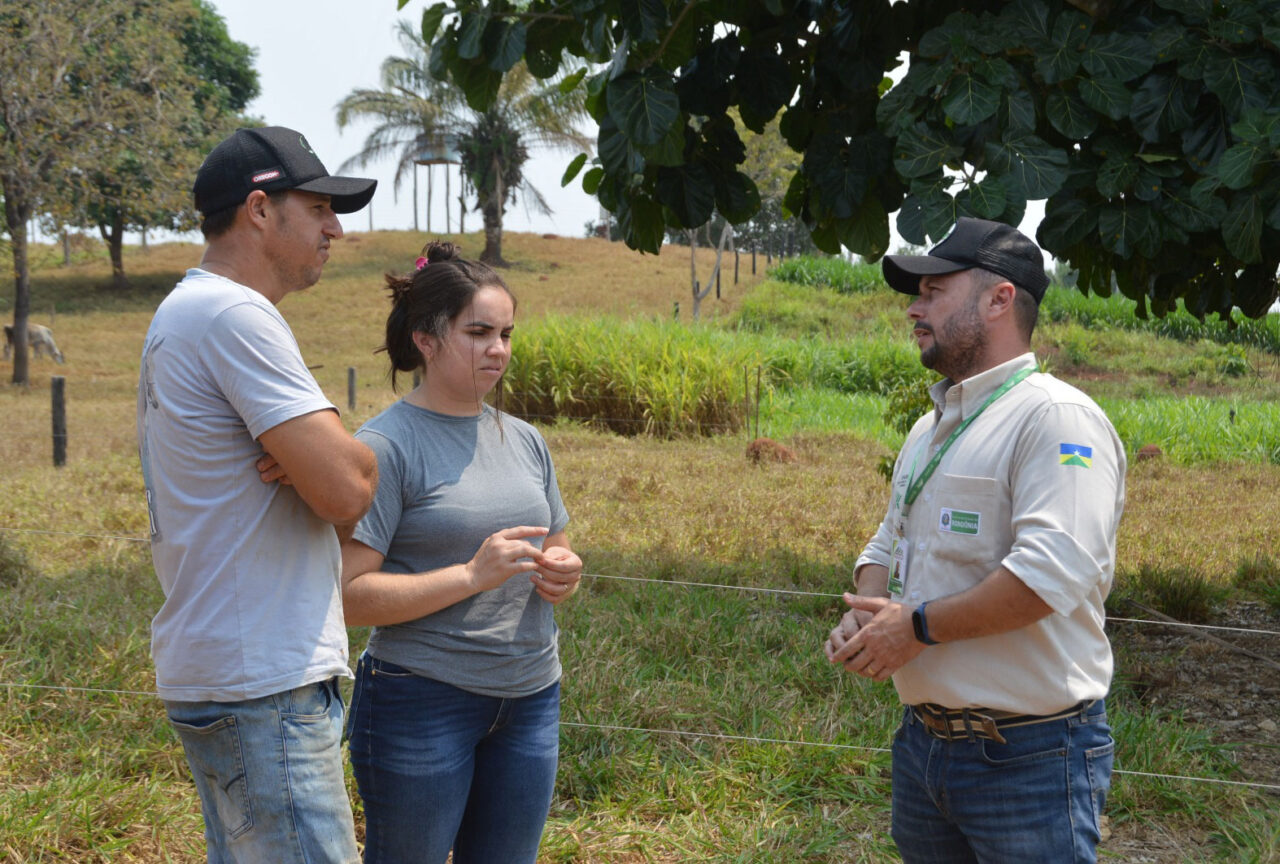 O casal Rogério e Nicoli já trabalham para alcançar a marca de 600 litros de leite/dia
