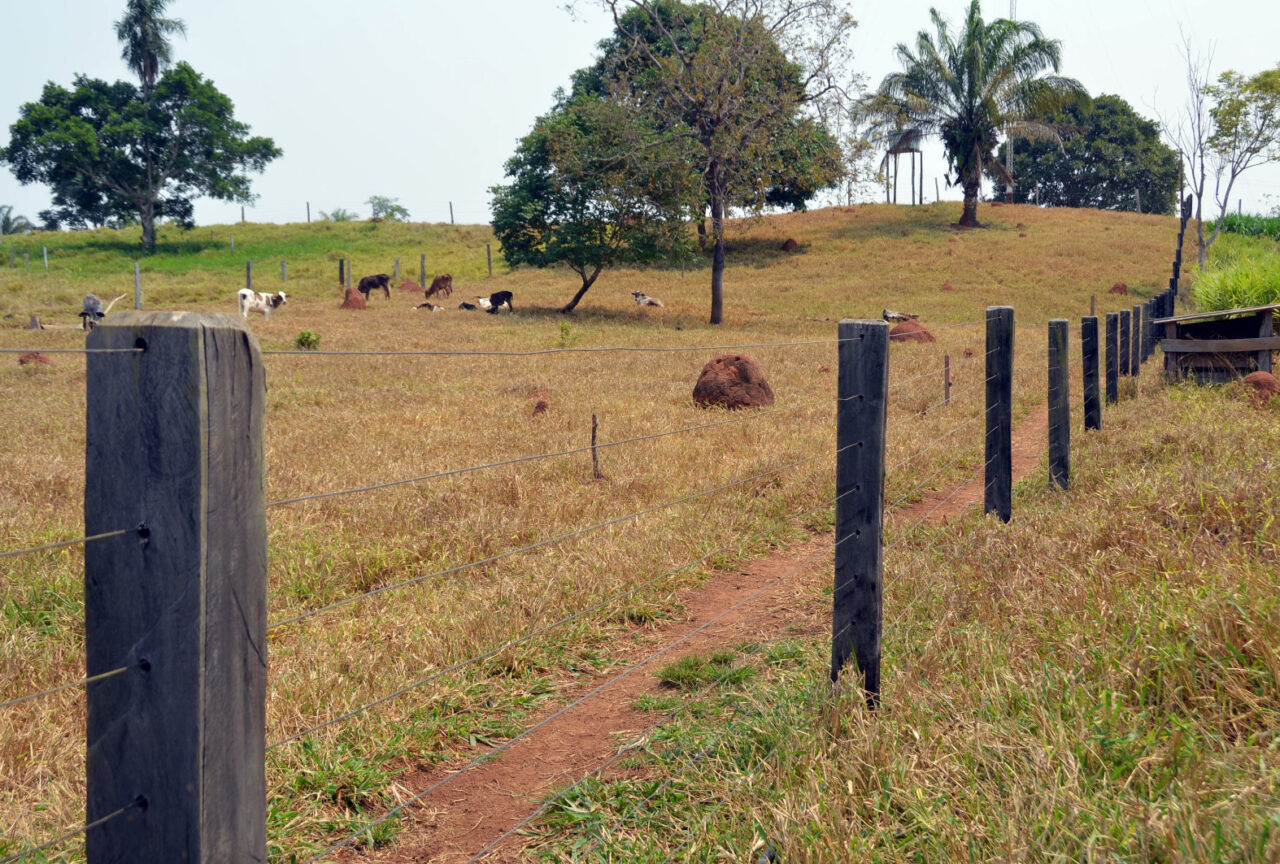 Expansão de programas estratégicos, somada às ações de assistência técnica e extensão rural também marcou o período