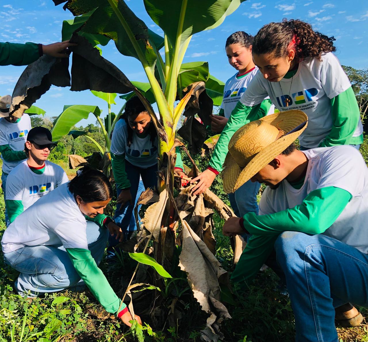 Dia do Técnico Agrícola é celebrado com vasta programação, em Pimenta Bueno