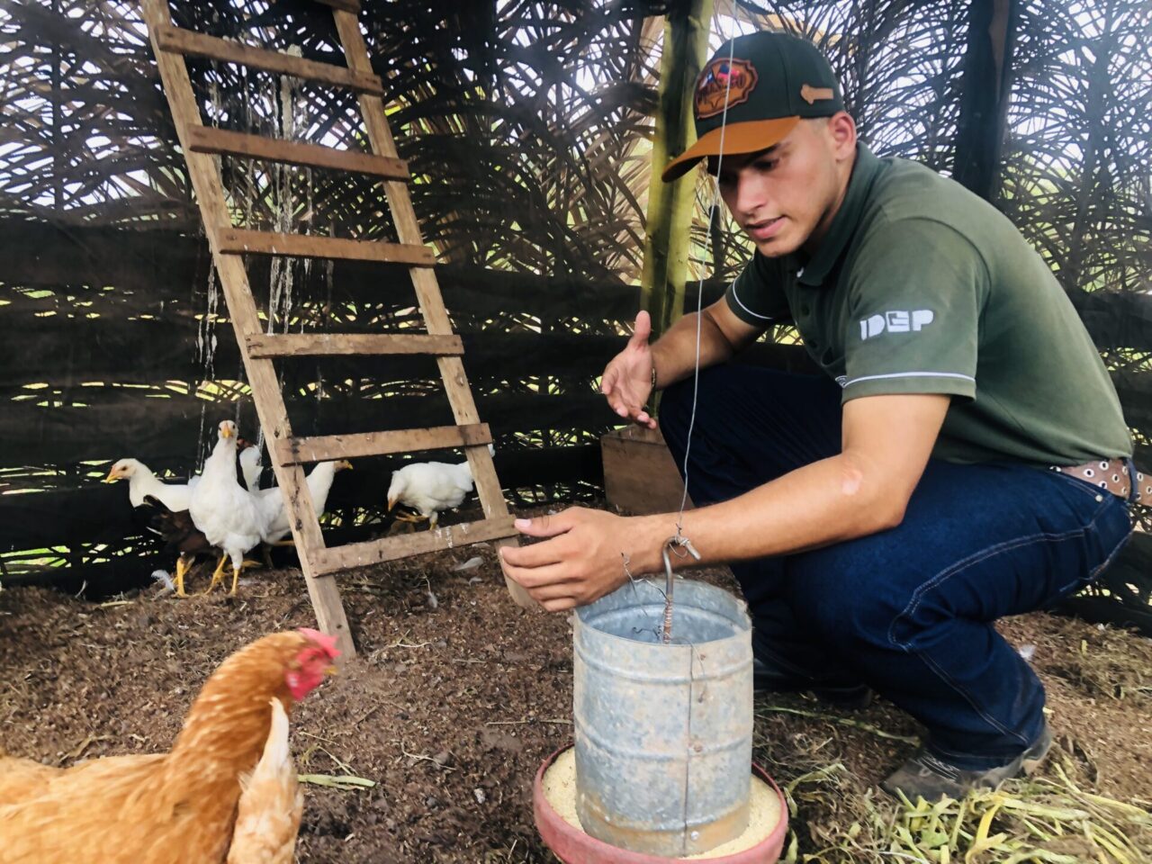 João Pedro apresentou trabalho de manejo que minimiza stress na avicultura de postura.