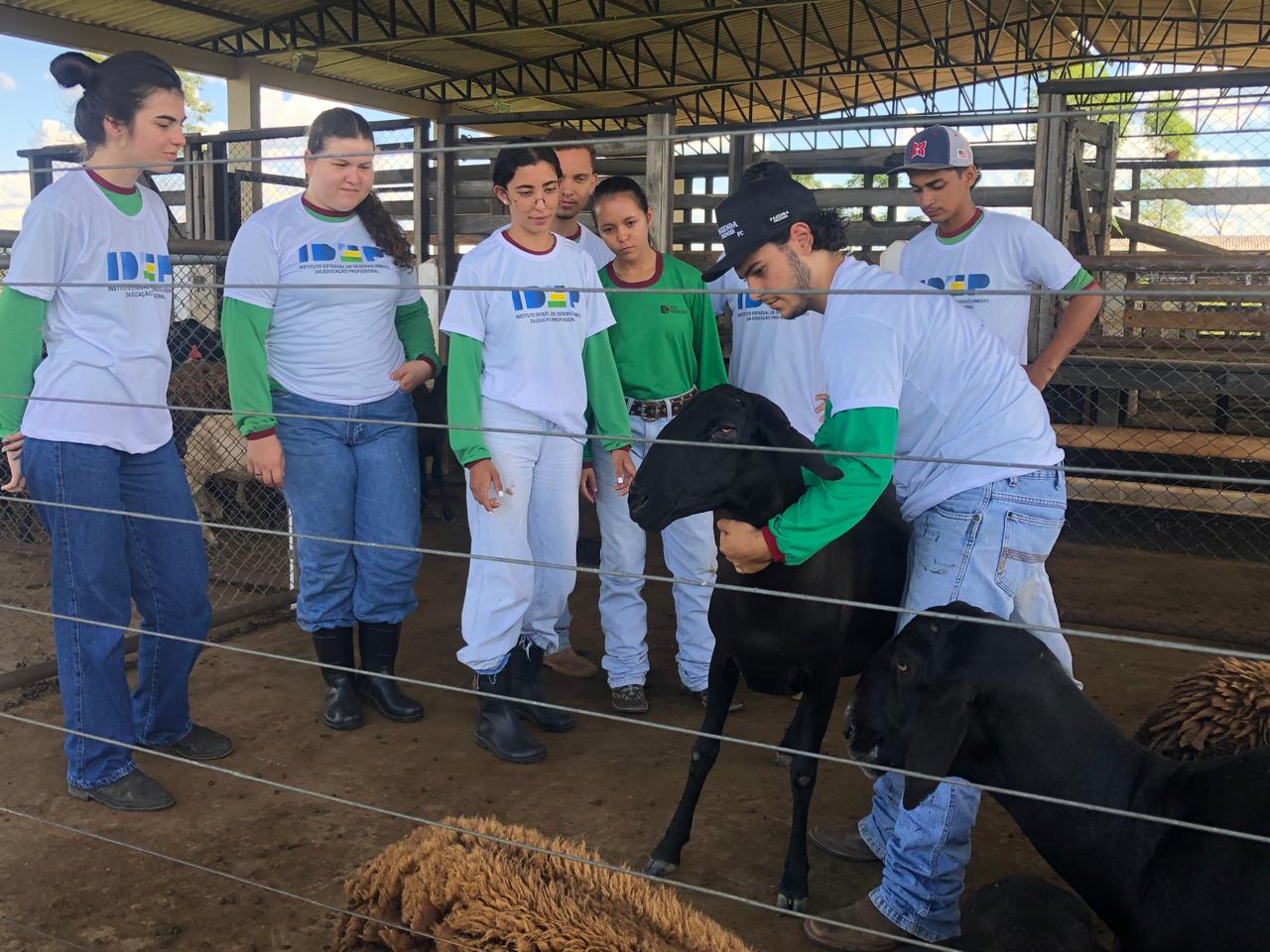 Alunos do Curso Técnico em Zootecnia apresentam práticas de bem-estar animal na II Semana do Técnico Agrícola, em Pimenta Bueno