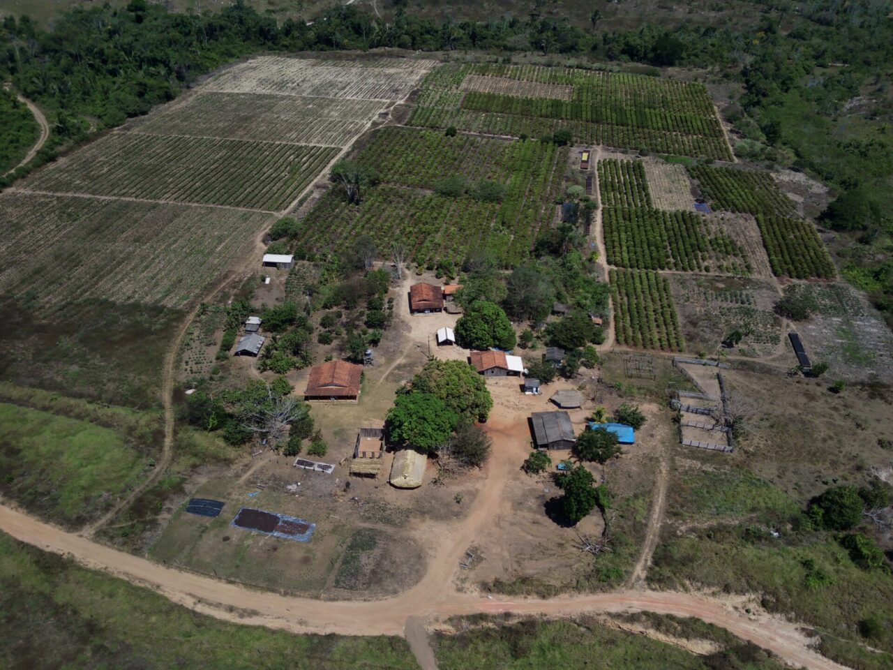 Vista aérea parcial da Terra Indígena Sete de Setembro