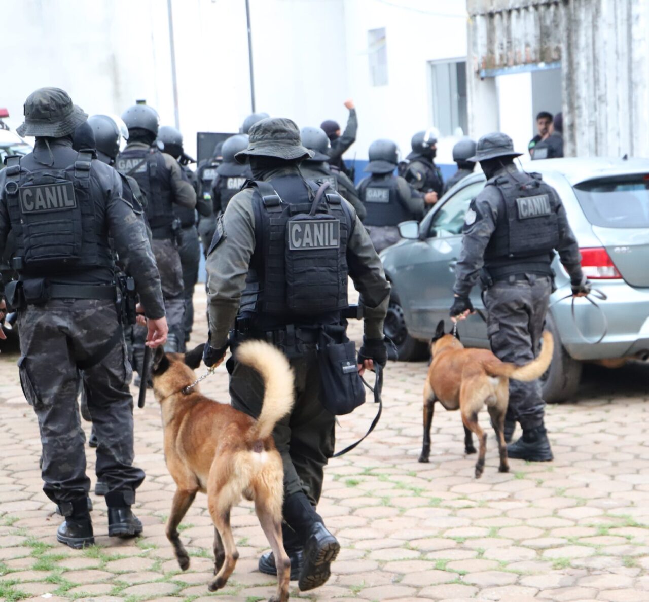 Foto: Reprodução/Secom Rondônia