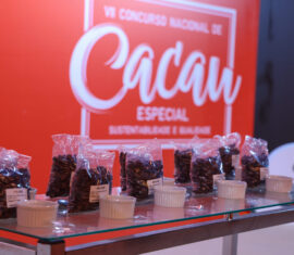 Concurso Nacional do Cacau-06.12.25-Foto-Daiane Mendonça