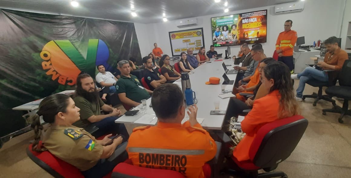 Os dados apresentados apontam redução de 82% nos índices de queimadas em relação a 2024