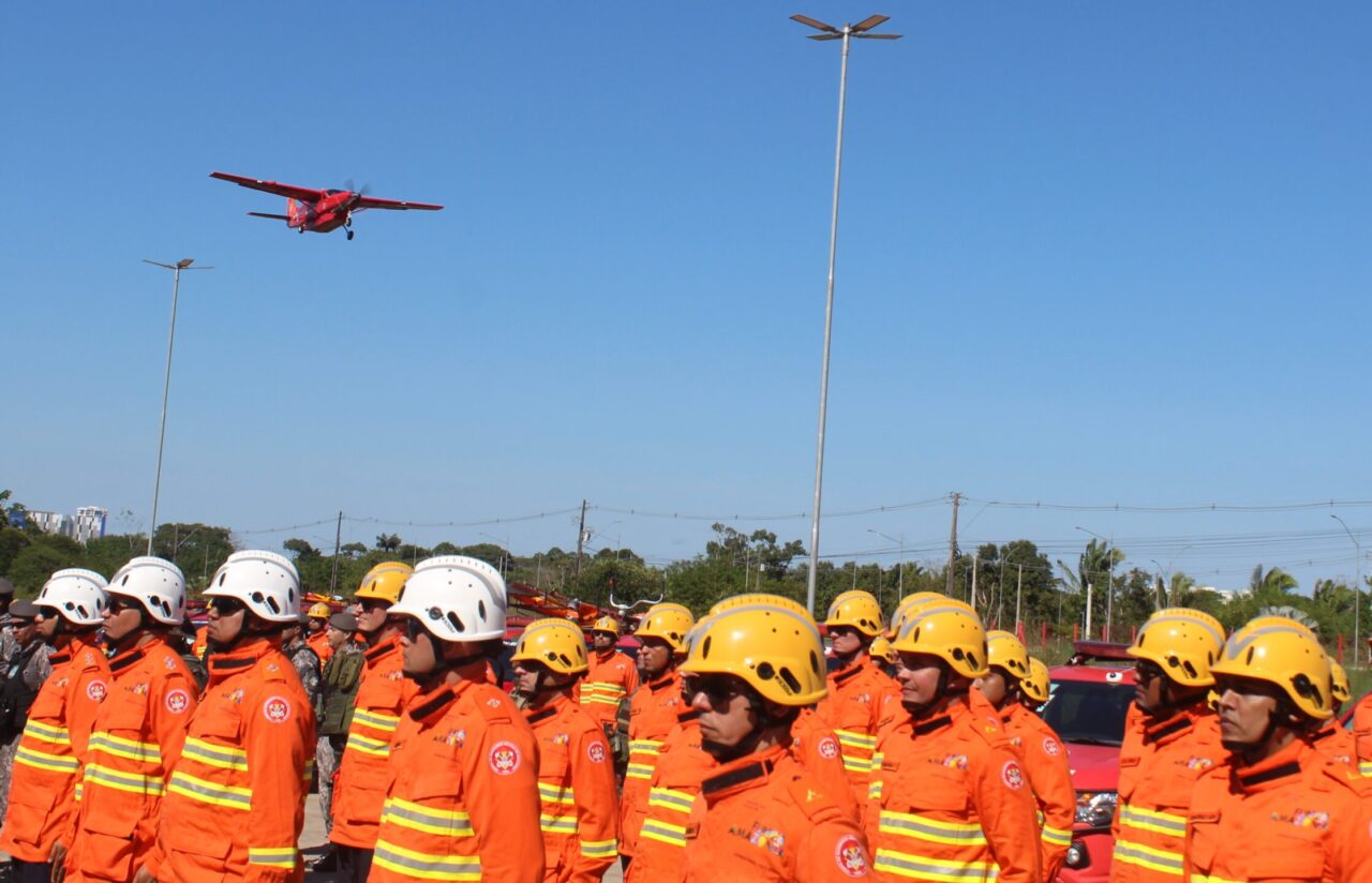 Estratégias de fiscalização, monitoramento e educação ambiental foram aplicadas em todo o estado