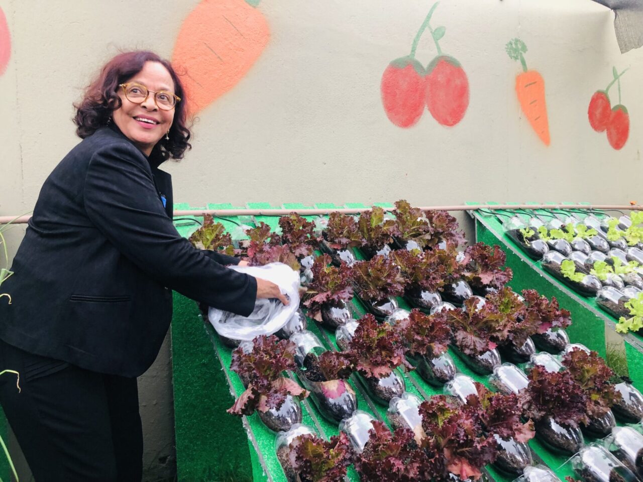 Participantes do evento receberam hortaliças para comprovar o sucesso do projeto sustentável