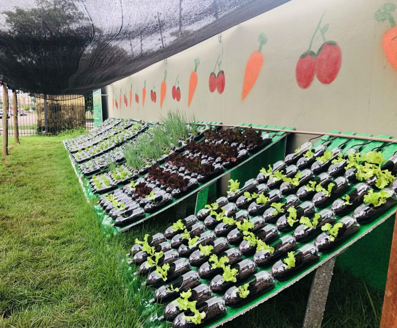 Educação Profissional amplia ações de sustentabilidade com inauguração de horta hidropônica