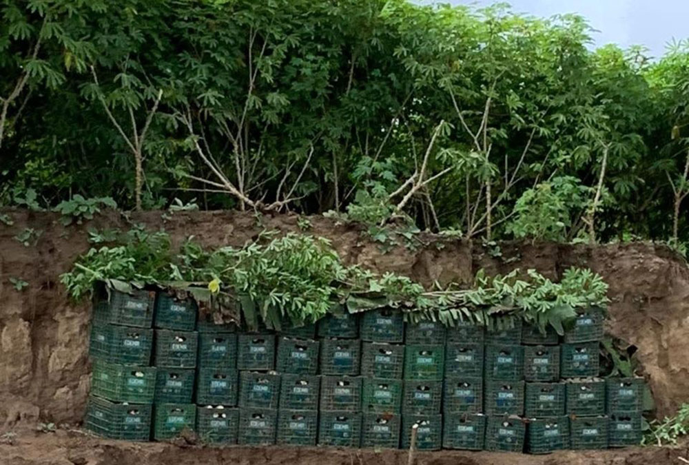 Apoiar agricultores familiares, ribeirinhos, quilombolas e indígenas com políticas públicas é fazer justiça social