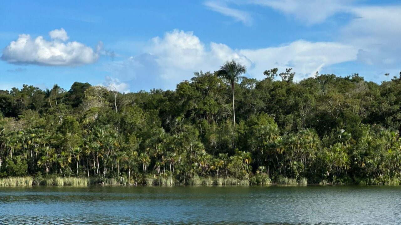 Link para requerimento de regularização ambiental é disponibilizada pelo governo de RO